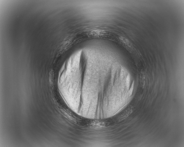 X0000053150760200508081410