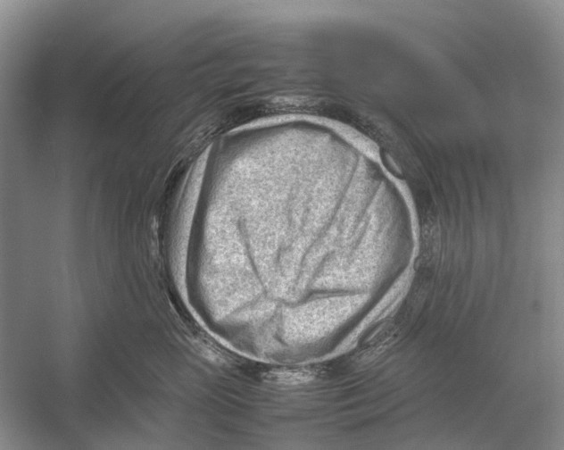 X0000053150765200508081410