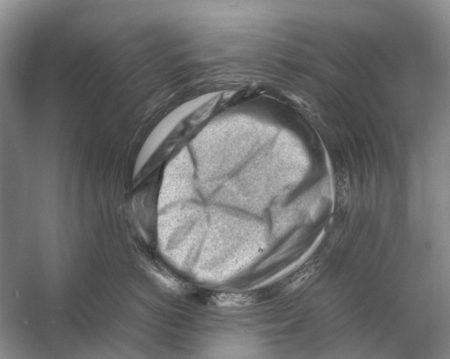 X0000053150766200508081410