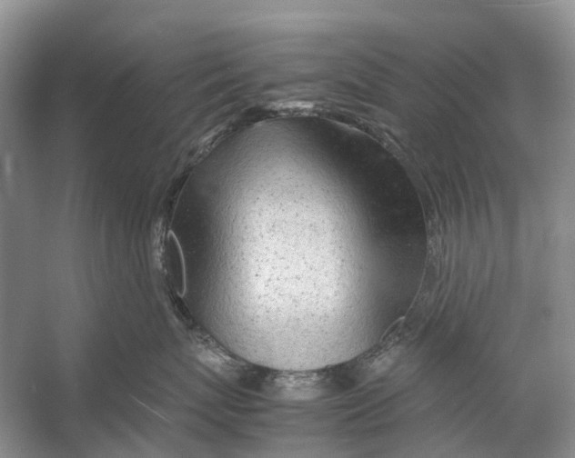 X0000053150767200508081410