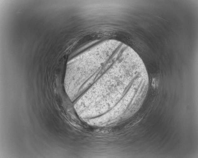 X0000053150771200508081409