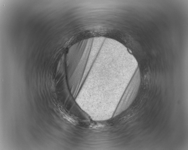 X0000053150772200508081409