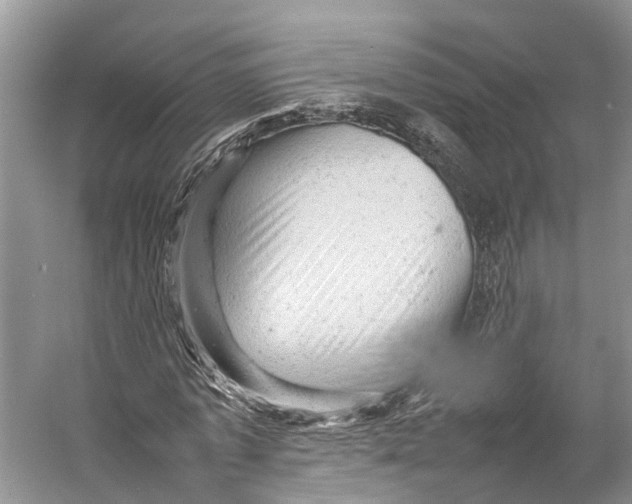 X0000053150773200508081409