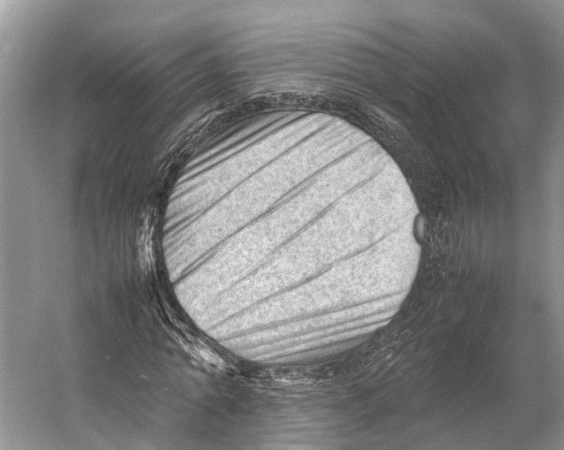 X0000053150774200508081409