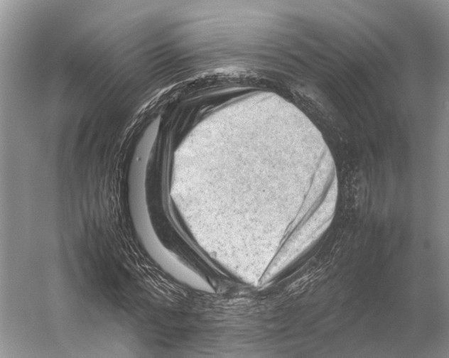 X0000053150776200508081409