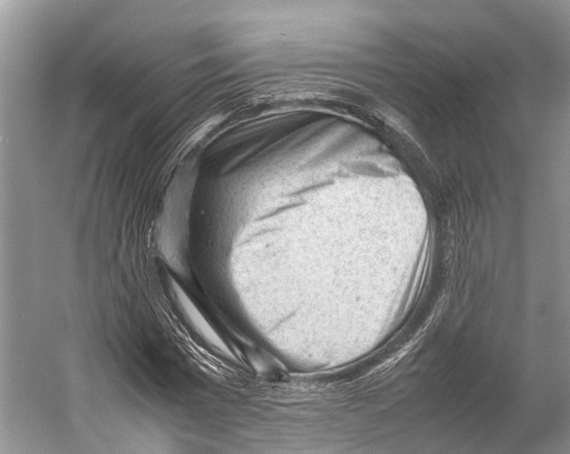 X0000053150777200508081409