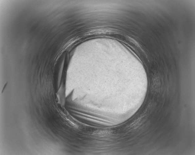 X0000053150778200508081409