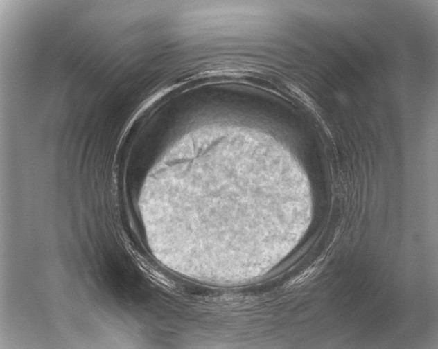 X0000053150779200508081409