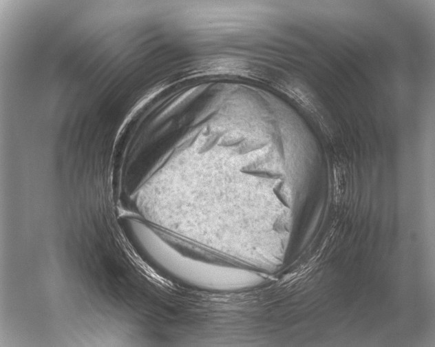 X0000053150780200508081409