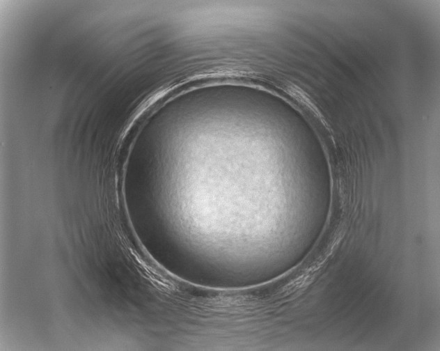 X0000053150781200508081409