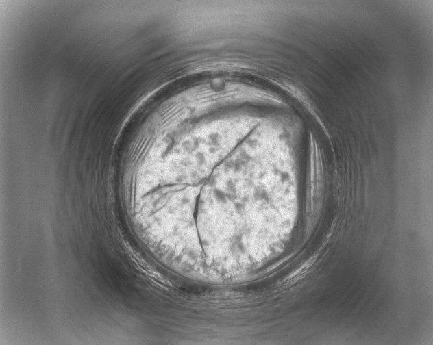 X0000053150783200508081409