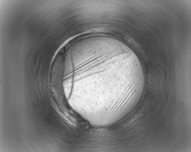 X0000053150784200508081409