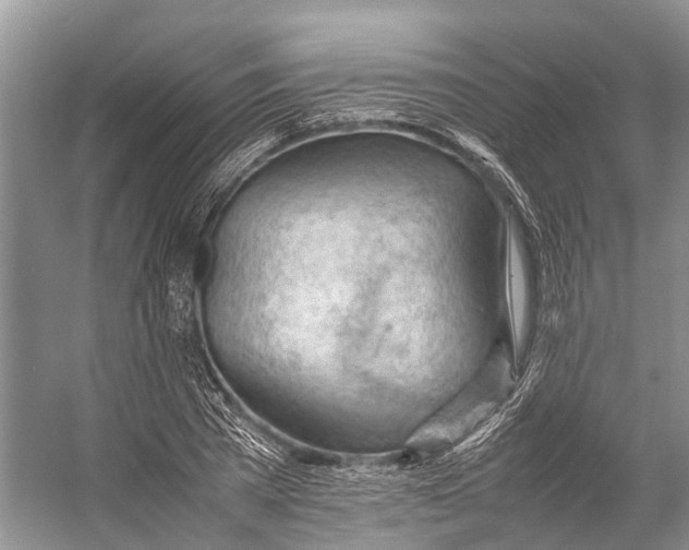 X0000053150785200508081409