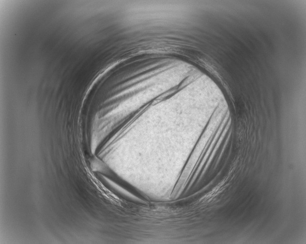 X0000053150787200508081409