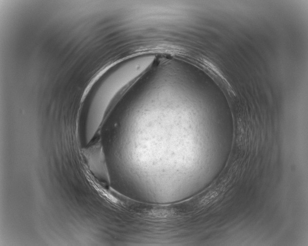 X0000053150788200508081409