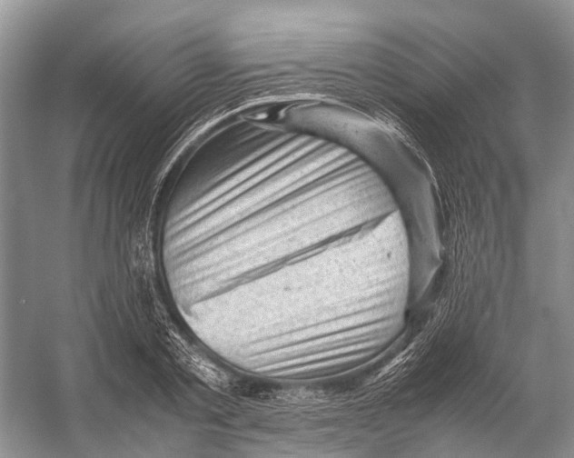 X0000053150789200508081409