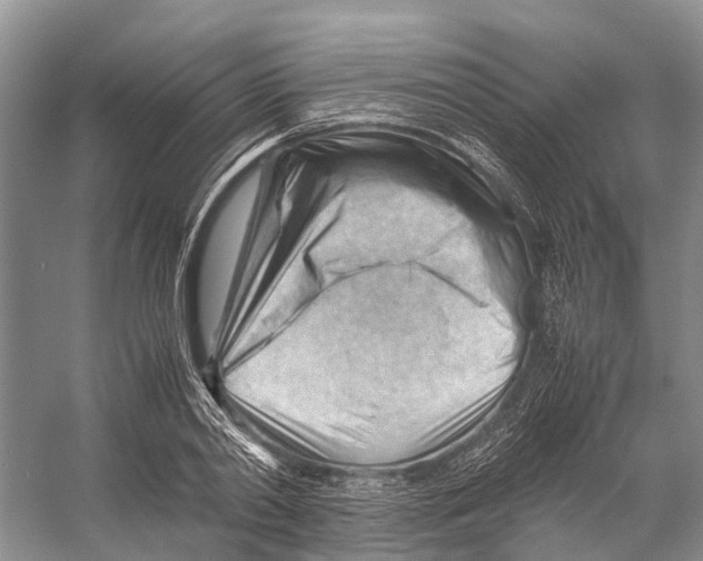 X0000053150790200508081409