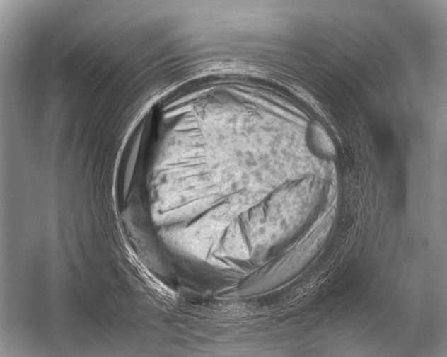 X0000053150791200508081409