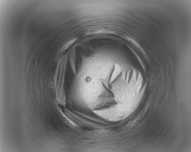 X0000053150793200508081409