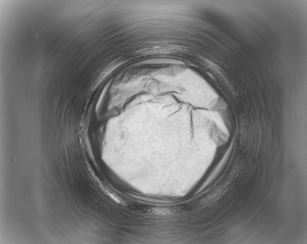 X0000053150794200508081409