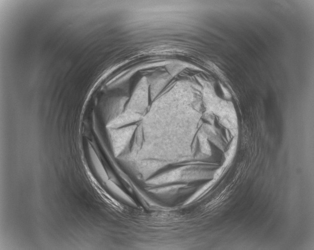 X0000053150795200508081409