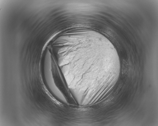 X0000053150796200508081409