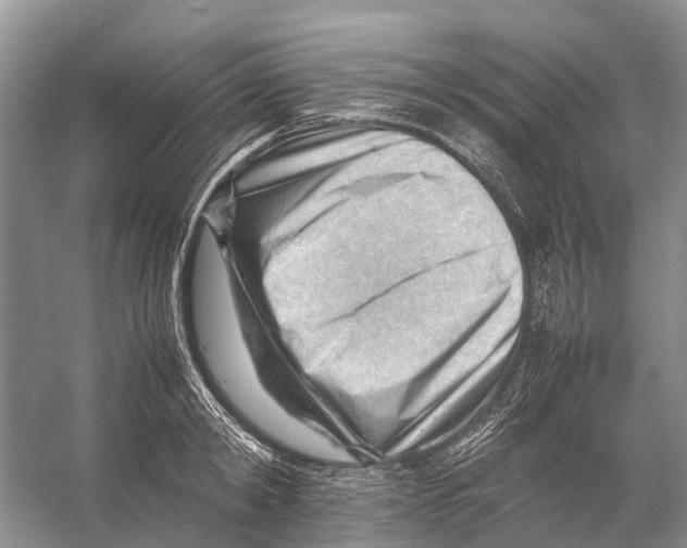 X0000053150798200508081409