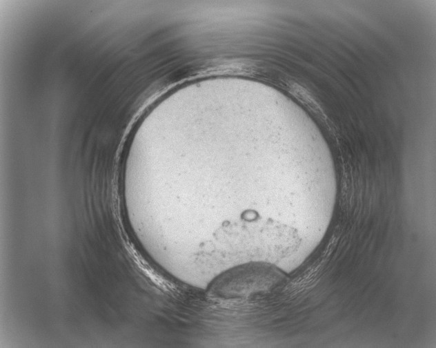 X0000053150800200508081409