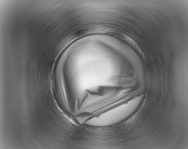 X0000053150802200508081409