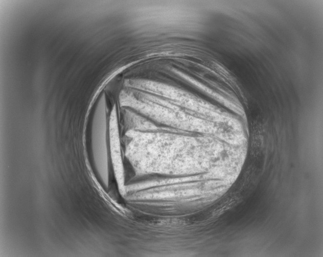 X0000053150803200508081409