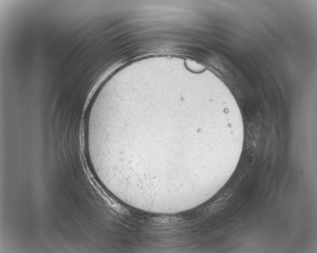 X0000053150804200508081409