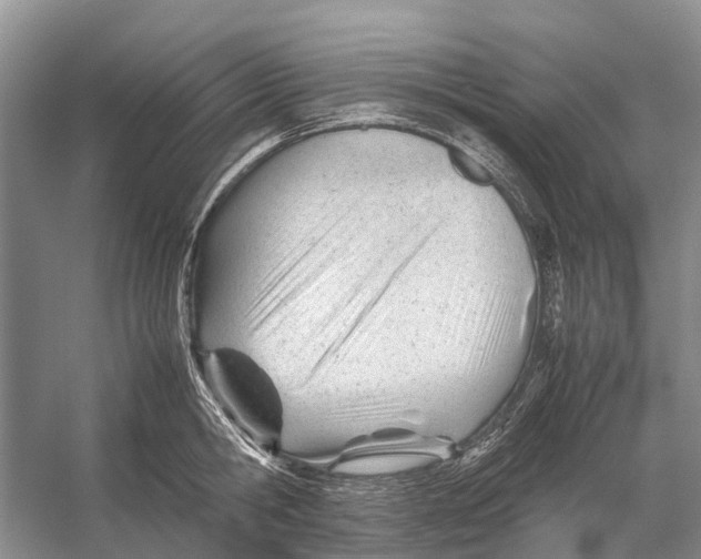 X0000053150806200508081409