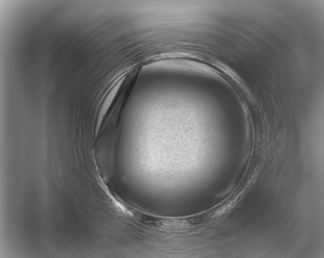 X0000053150809200508081409