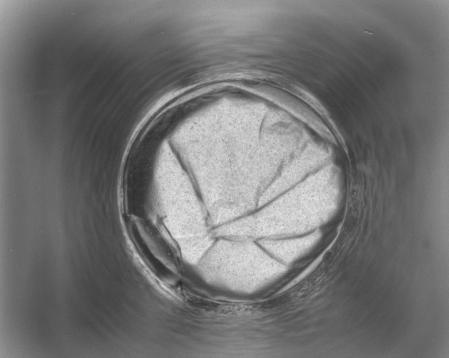 X0000053150811200508081409