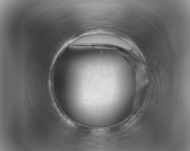 X0000053150813200508081409