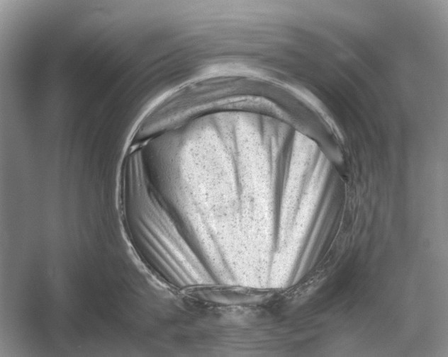 X0000053150815200508081409