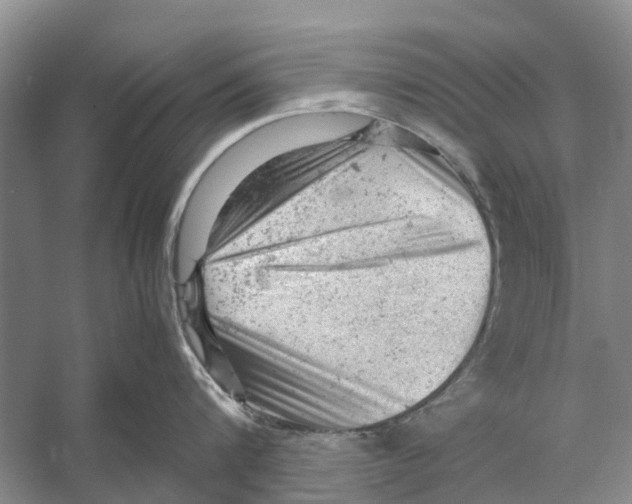 X0000053150816200508081409