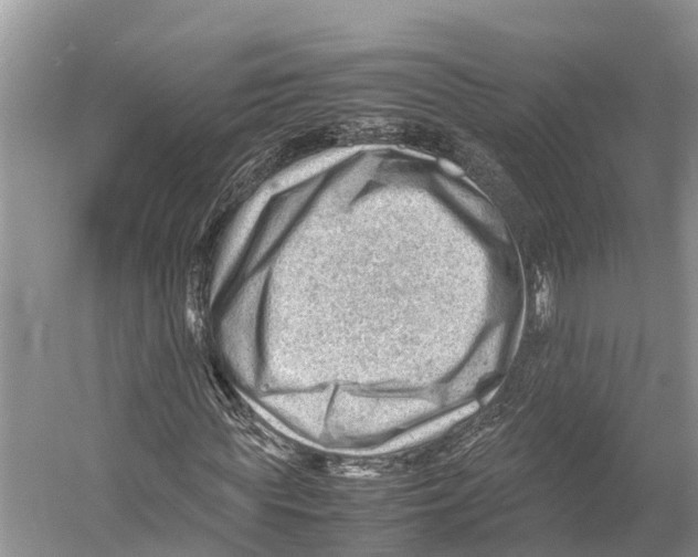 X0000053150819200508081408