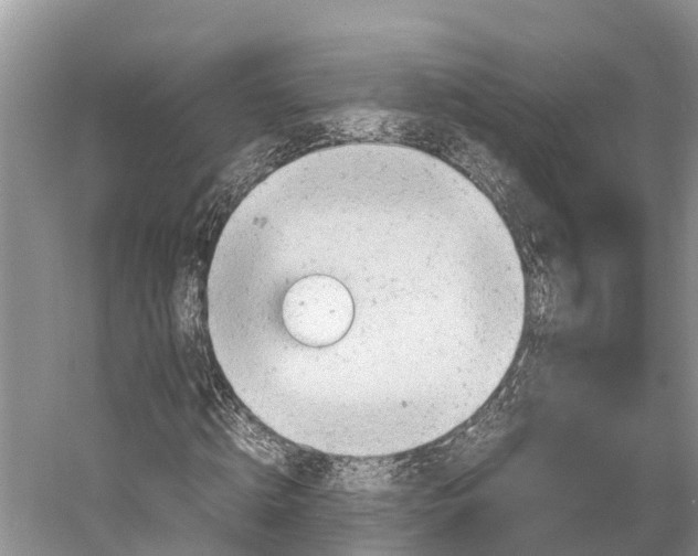 X0000053150820200508081408