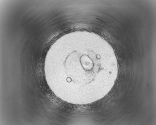 X0000053150824200508081408