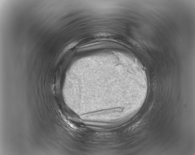 X0000053150825200508081408