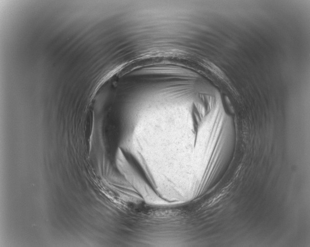 X0000053150826200508081408