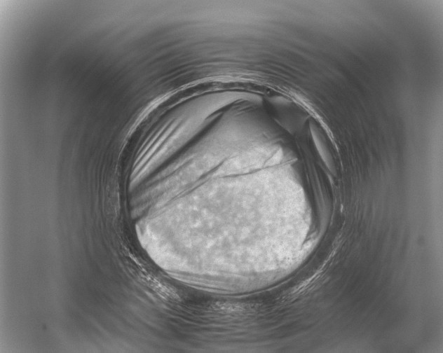 X0000053150829200508081408