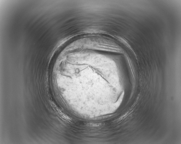 X0000053150831200508081408