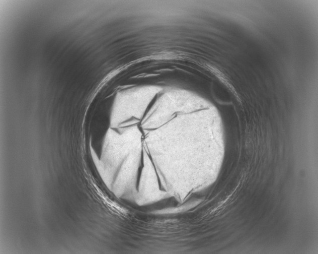 X0000053150837200508081408