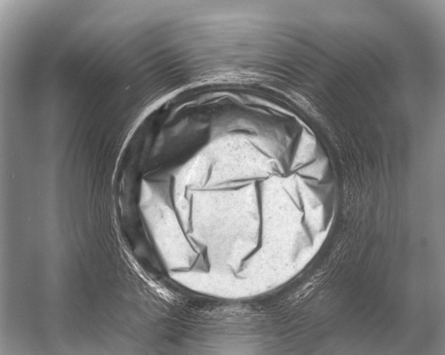 X0000053150838200508081408