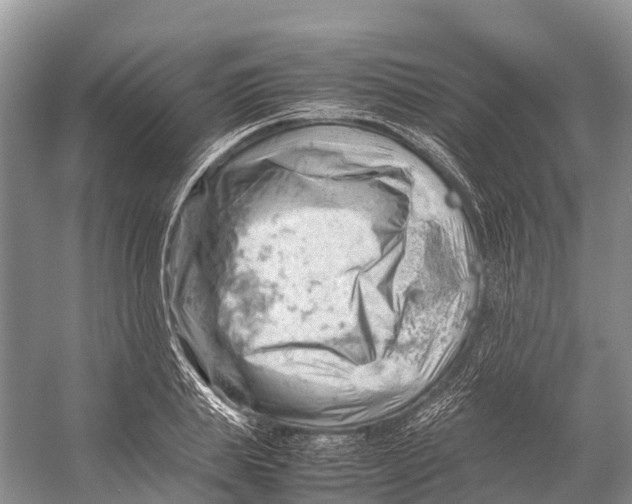 X0000053150839200508081408