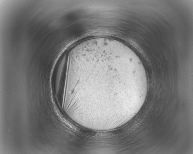 X0000053150840200508081408