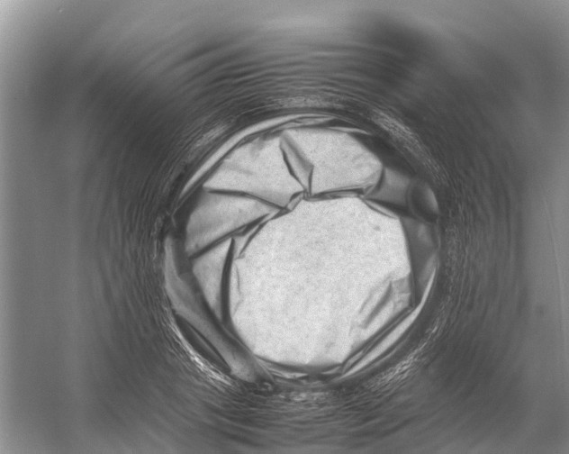 X0000053150841200508081408