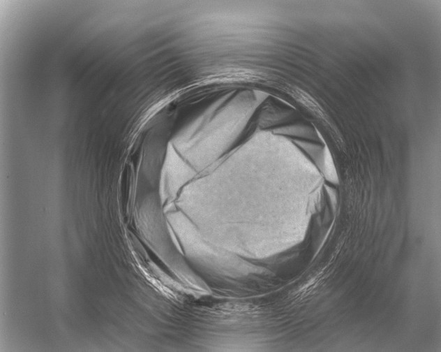 X0000053150842200508081408